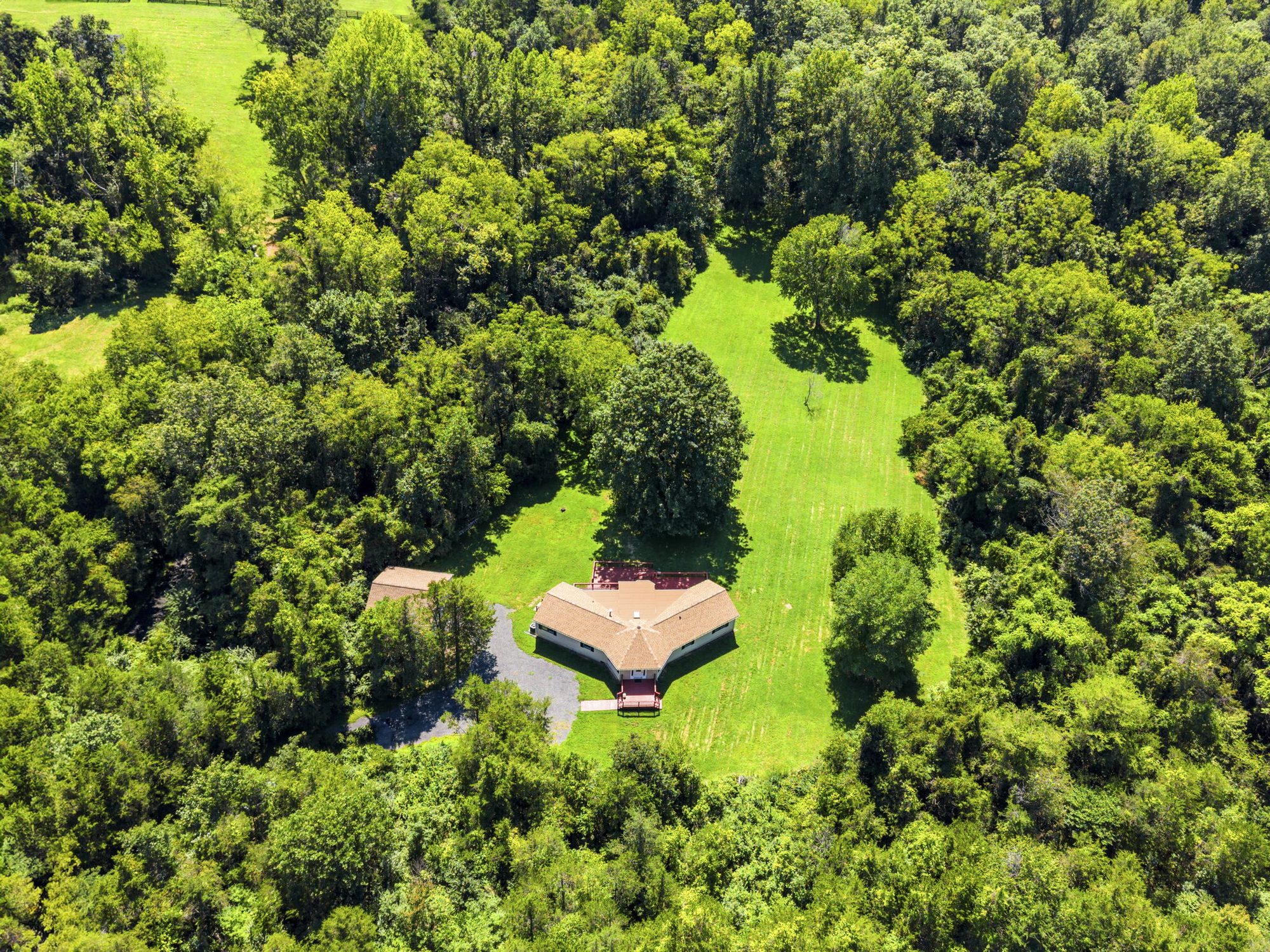 Aerial view of the wooded 4.655-acre property and level back yard